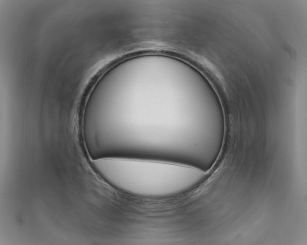 X0000111361318200907100947