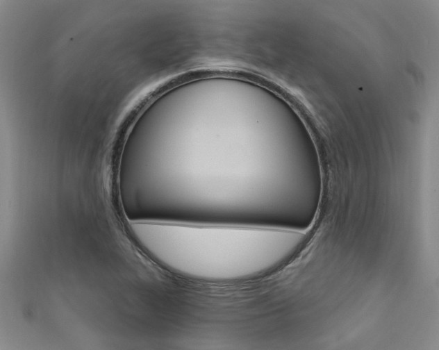 X0000111361319200907100947