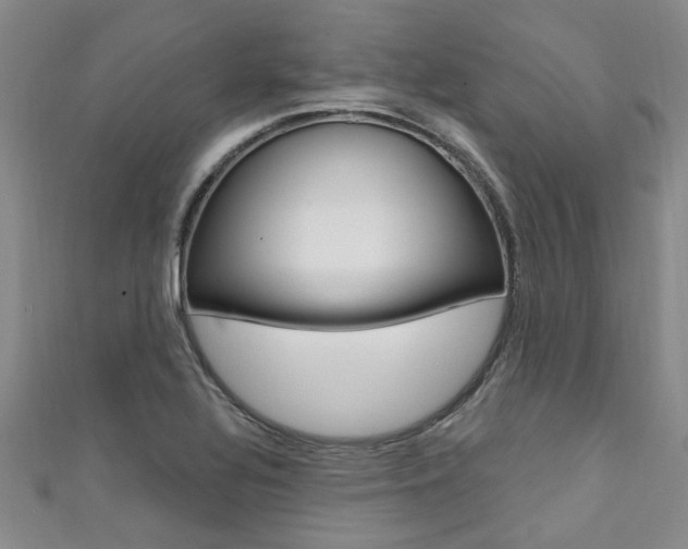 X0000111361320200907100947
