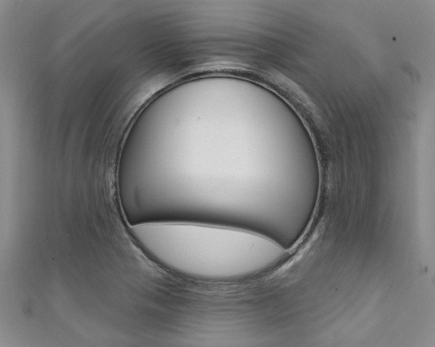X0000111361321200907100947