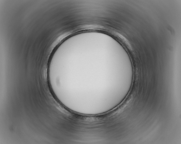 X0000111361322200907100948