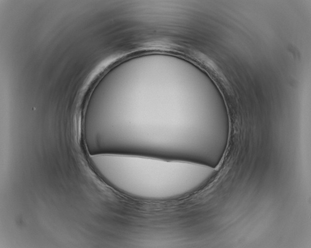 X0000111361323200907100948