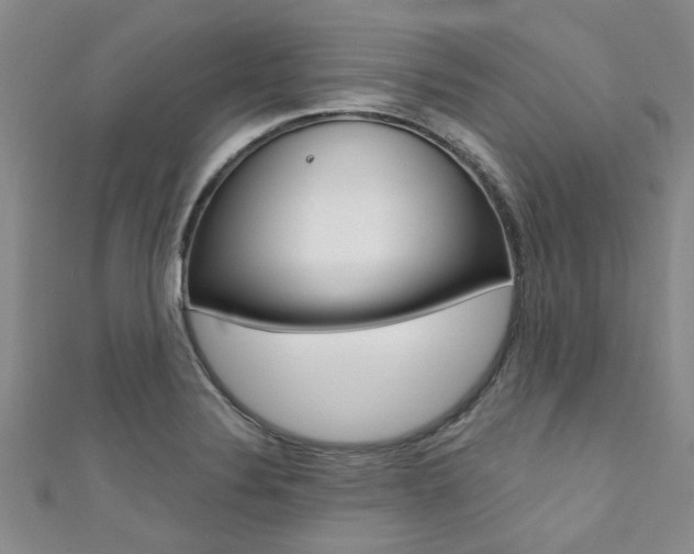 X0000111361324200907100948