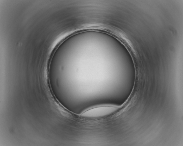 X0000111361328200907100948