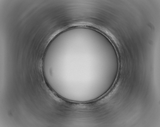 X0000111361329200907100948