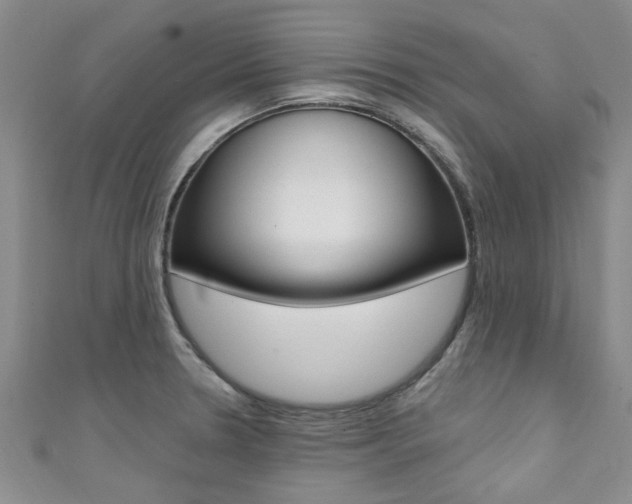X0000111361330200907100948