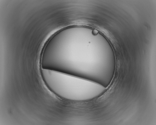 X0000111361331200907100948