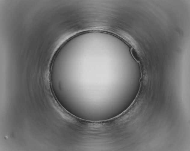 X0000111361332200907100948
