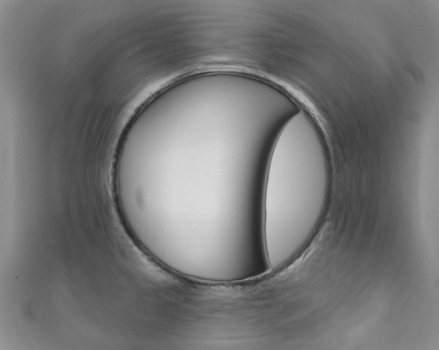 X0000111361333200907100948