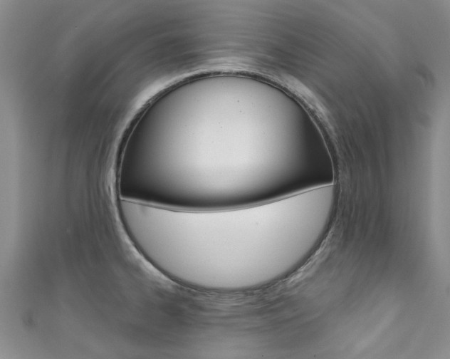 X0000111361334200907100948