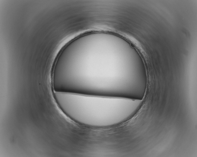 X0000111361335200907100948