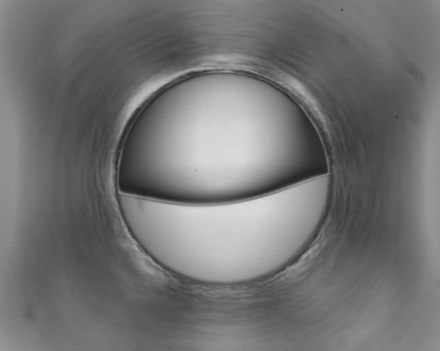 X0000111361336200907100948