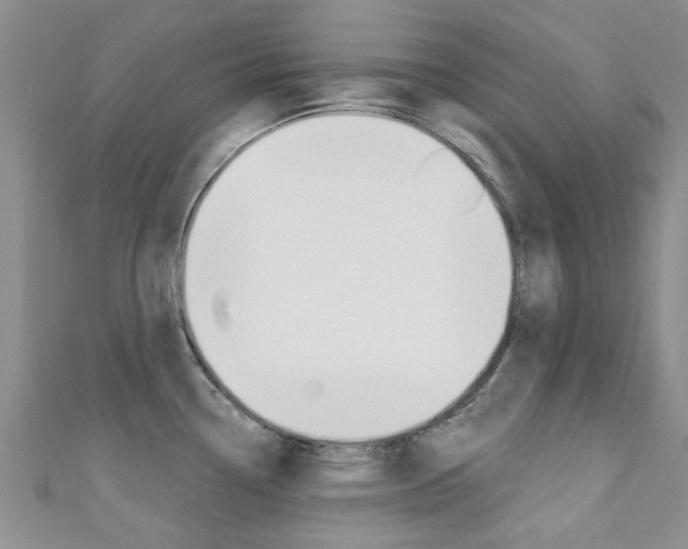 X0000111361338200907100948