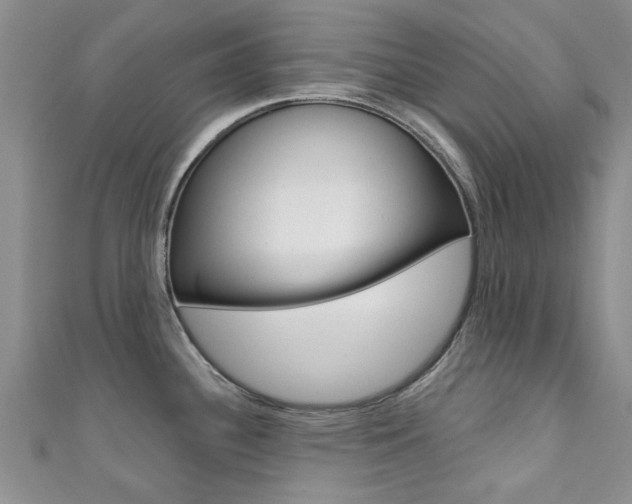 X0000111361340200907100948