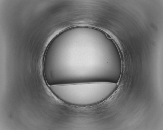 X0000111361341200907100948