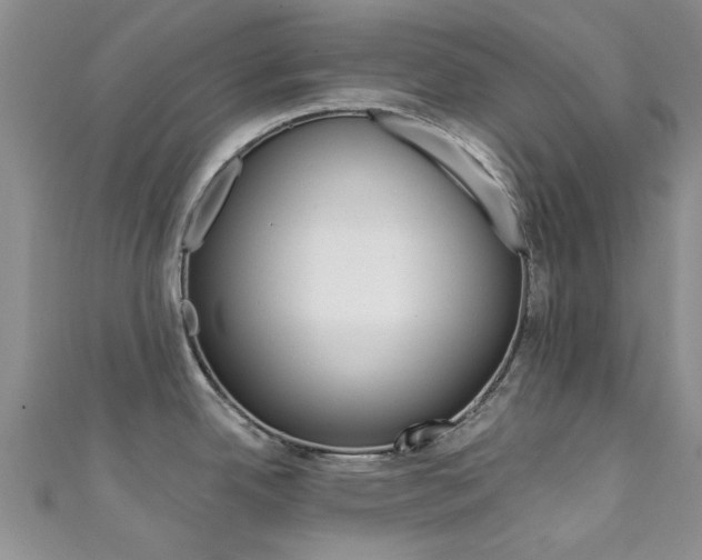 X0000111361342200907100948