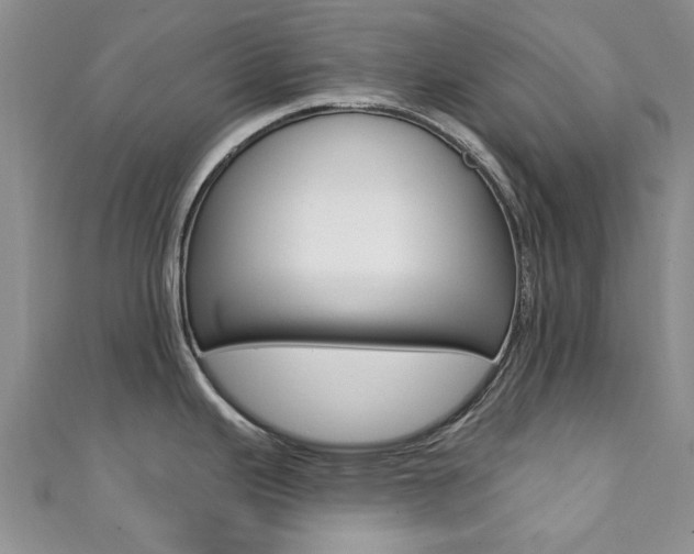 X0000111361343200907100948