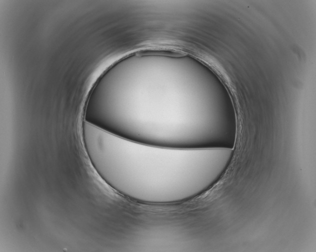 X0000111361344200907100948