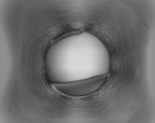 X0000111361345200907100947