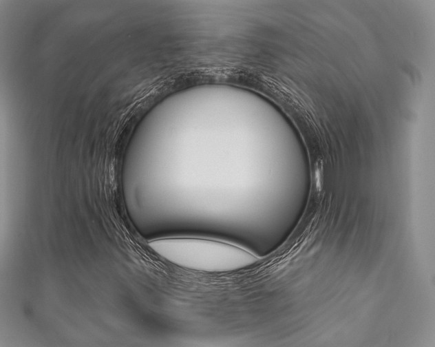 X0000111361347200907100947