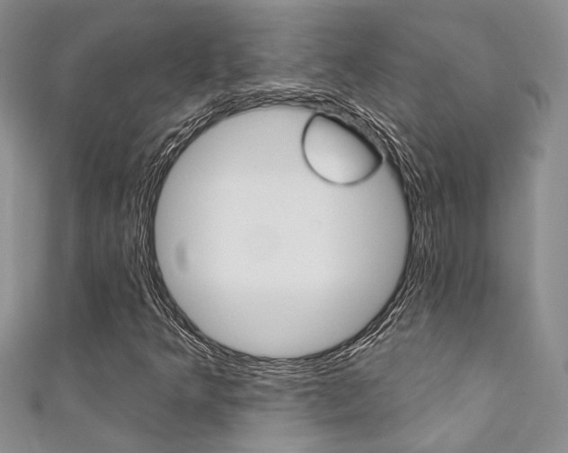 X0000111361349200907100947