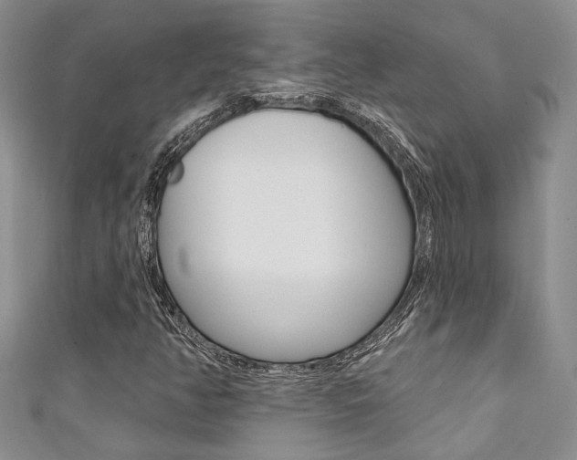 X0000111361350200907100947