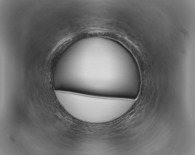 X0000111361351200907100947