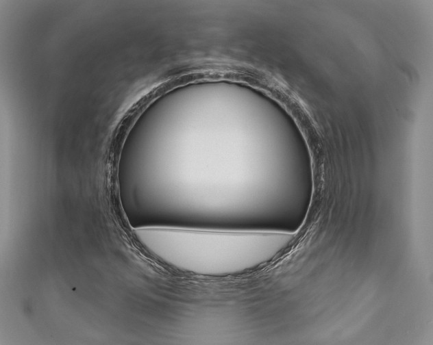 X0000111361352200907100947