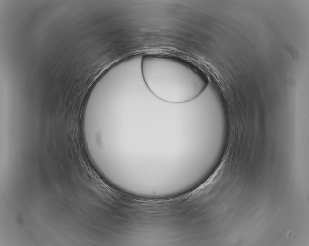 X0000111361353200907100947