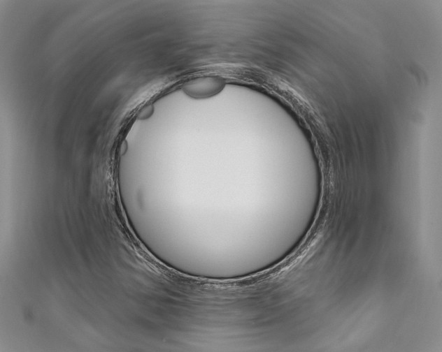 X0000111361354200907100947