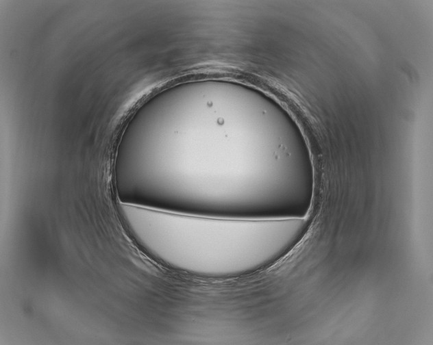 X0000111361355200907100947