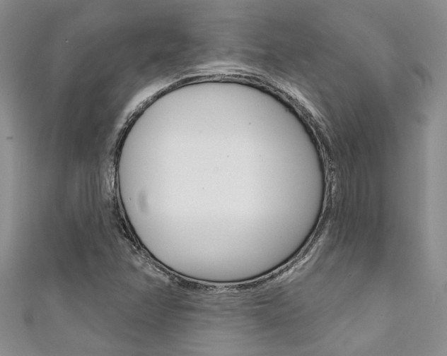 X0000111361358200907100947