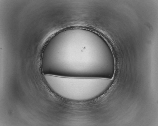 X0000111361359200907100947
