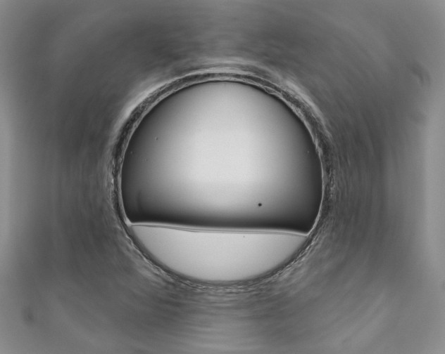 X0000111361360200907100947
