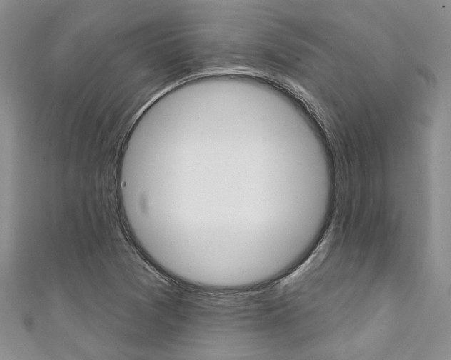 X0000111361361200907100947