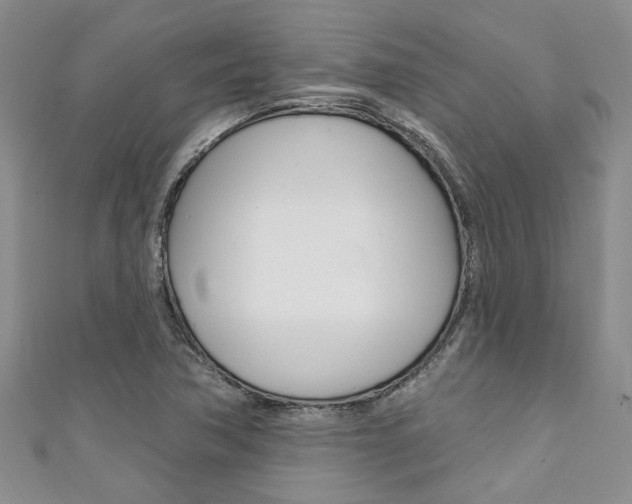 X0000111361362200907100947