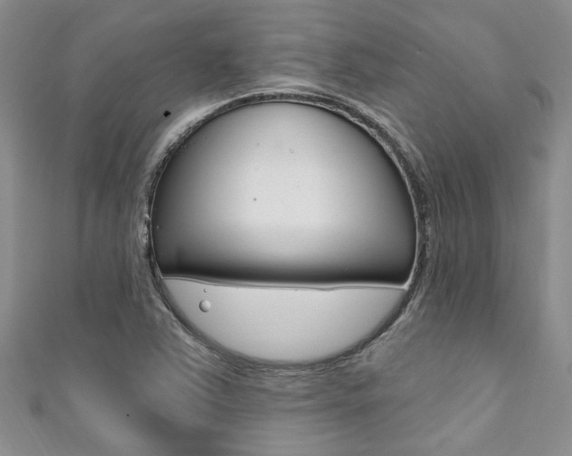 X0000111361363200907100947