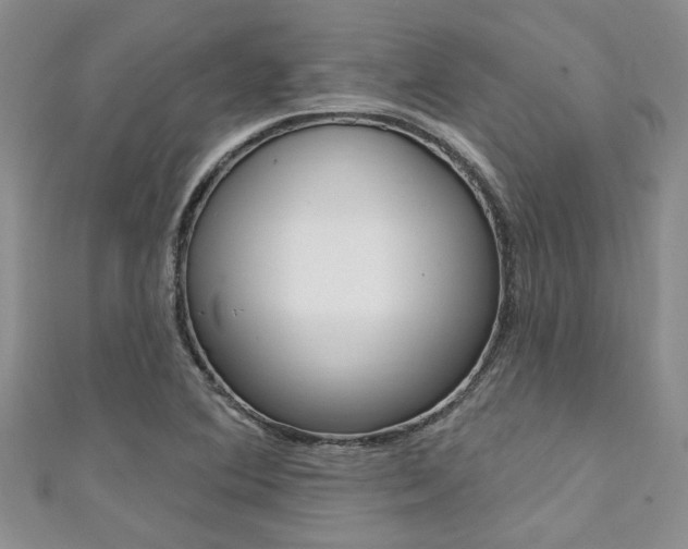 X0000111361364200907100947