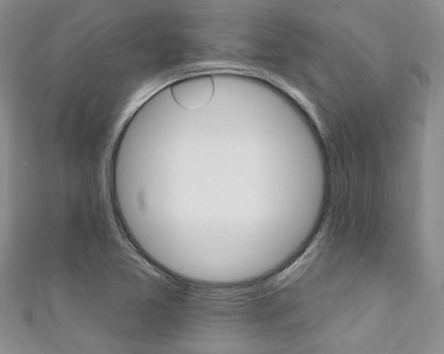 X0000111361365200907100947