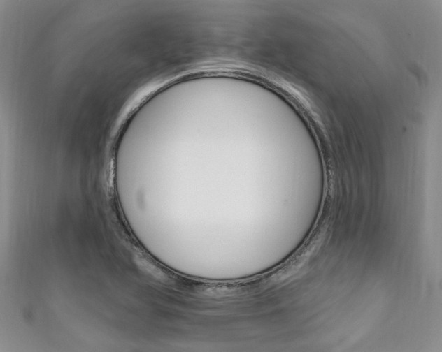 X0000111361366200907100947
