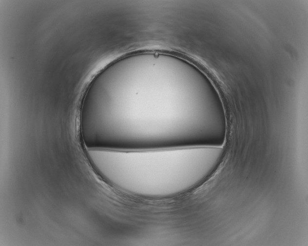 X0000111361367200907100947