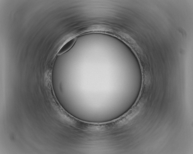 X0000111361369200907100947