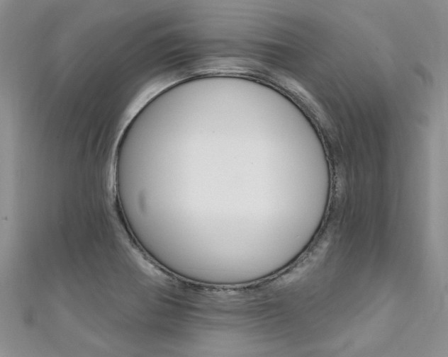 X0000111361370200907100947