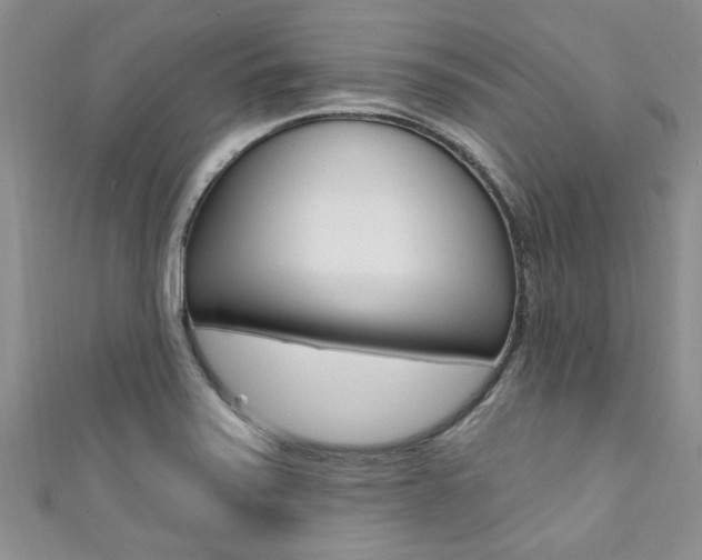 X0000111361371200907100947