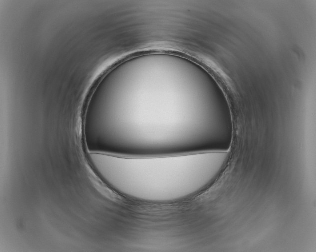X0000111361372200907100947