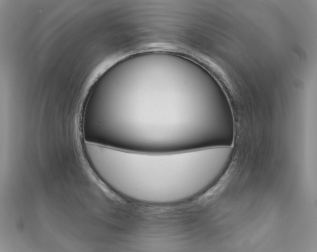 X0000111361373200907100947