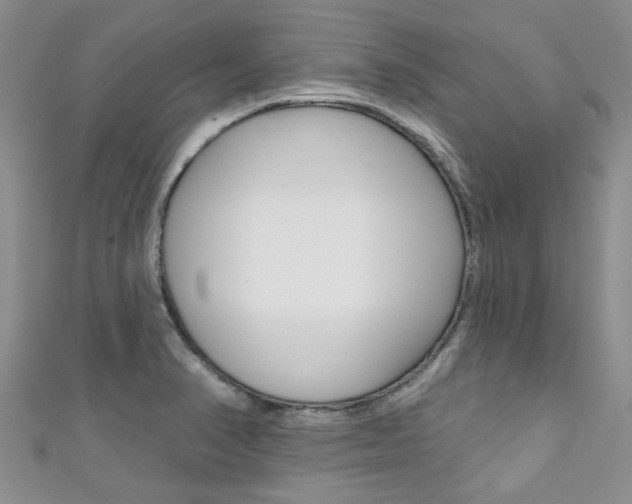 X0000111361374200907100947