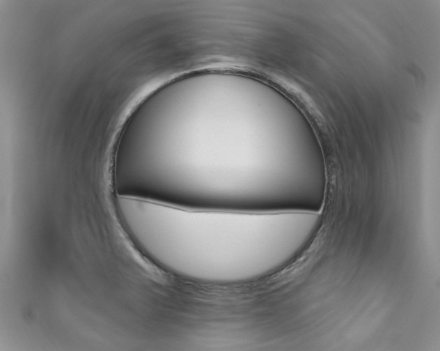 X0000111361375200907100947