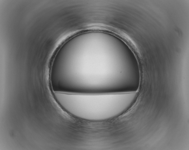 X0000111361376200907100947