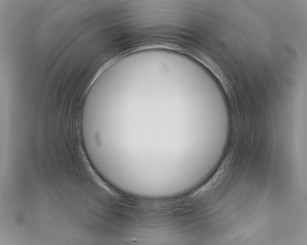 X0000111361377200907100947